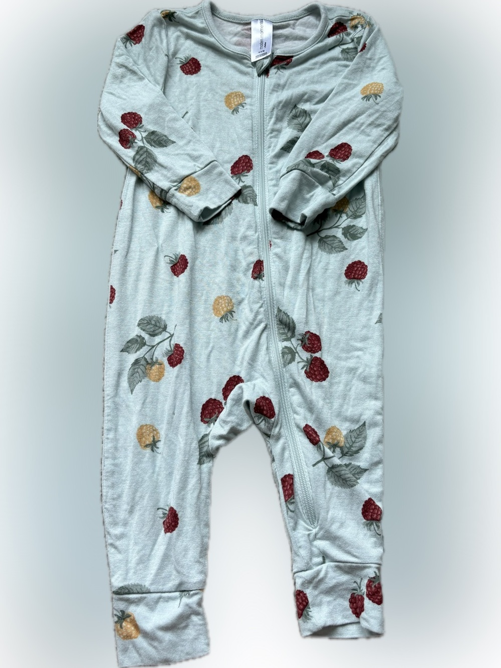 Baby/Toddler Mint Raspberry-Print Zip Footie One-Piece